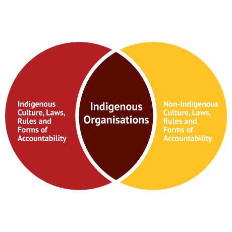 The two-way accountability of Indigenous organisations and governing bodies