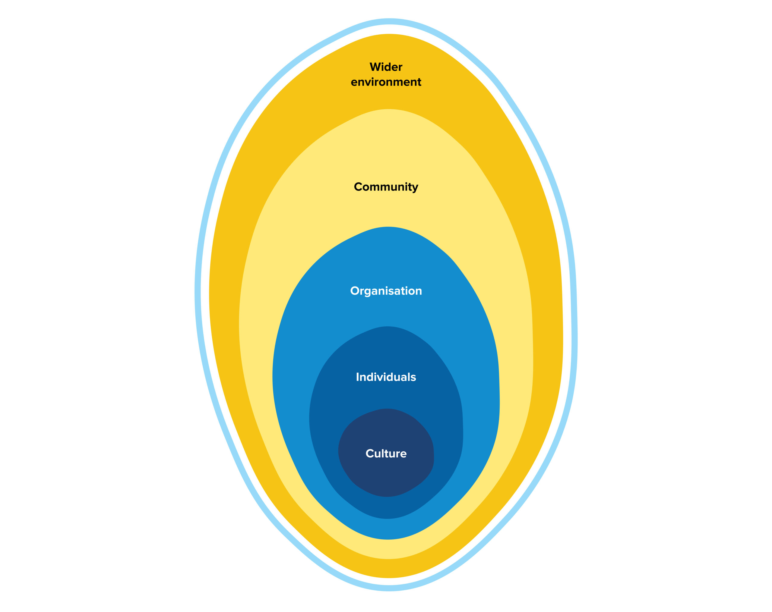 Your wider environment