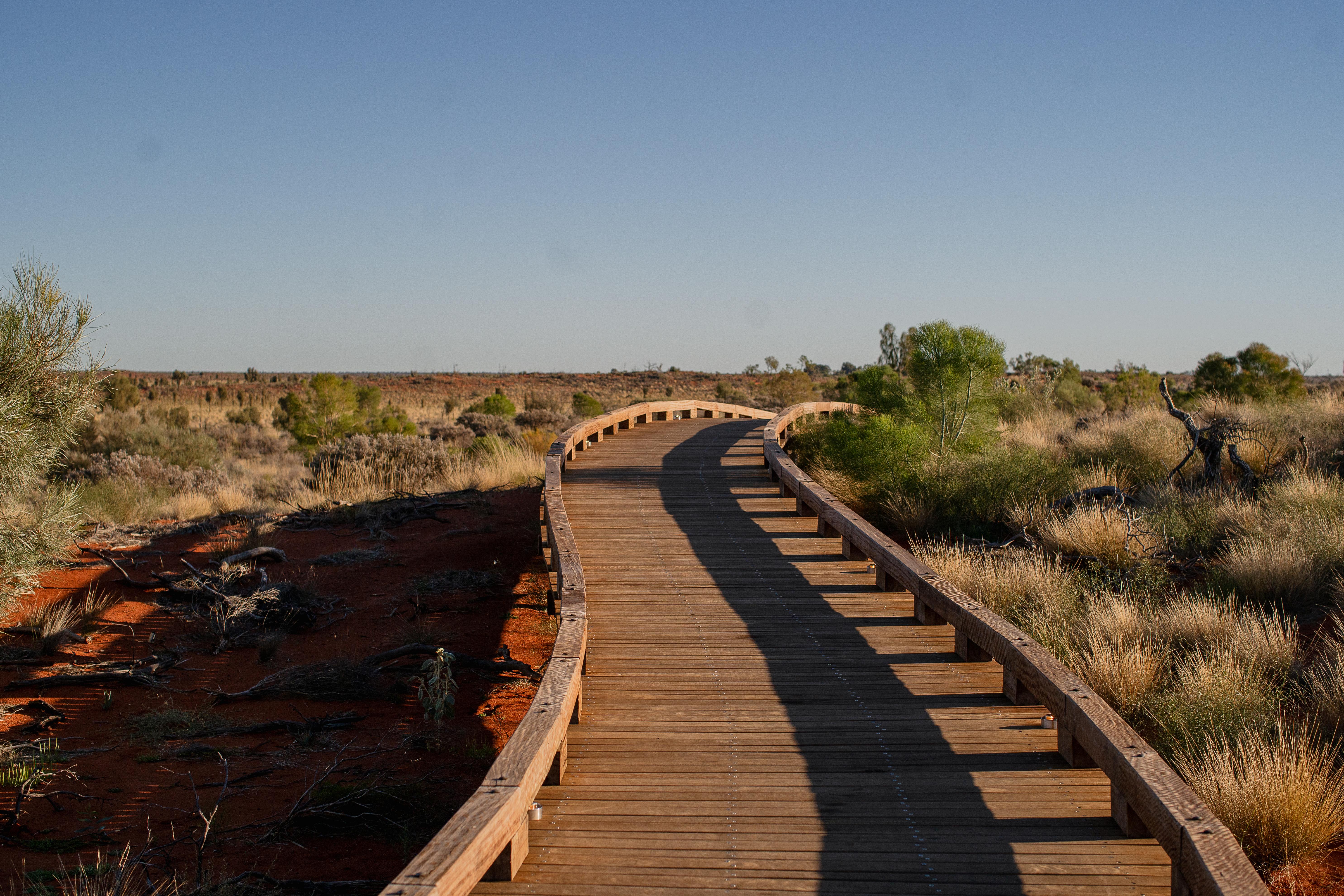 Walking the Path to Your First Board Role: Culturally Grounded Governance