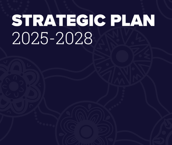 AIGI Strategic Plan 2025-2028