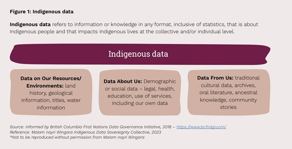 Indigenous data